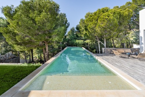 La piscina de 20 m de largo bajo los pinos La piscine de 20m de long sous les pins