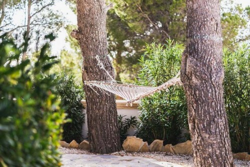 Una siesta dentro de la hamaca Faire la sieste dans le hamac
