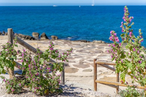 El acceso a la playa y su paseo The access to the sea and the promenade