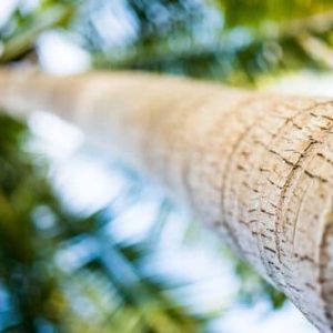 costa blanca vacances sensations (4)